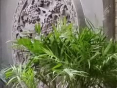 -兰州饭店-鑫苑清真餐厅