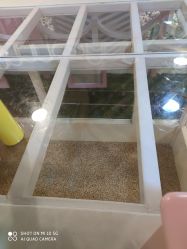 -多多淘儿童体验中心(重庆来福士店)