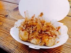 -锦江乐园舞狸花花游园会(夜场专享)