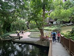-香港大学