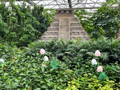 -南宫五洲植物乐园