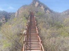 -大岭沟猕猴桃谷风景区