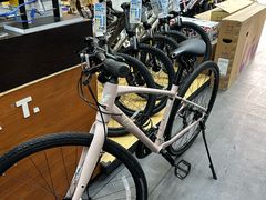 -GIANT捷安特自行车专卖店(金桥台儿庄路店)