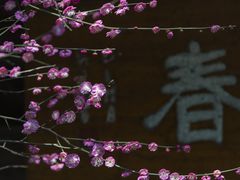 -杭州植物园