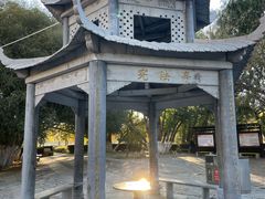 -布达拉宫
