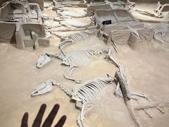 -洛阳周王城天子驾六博物馆