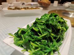 清炒豌豆苗-渝信川菜(长安店)
