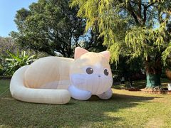 -广州兰圃