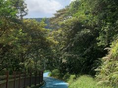 -黄埔油麻山森林公园