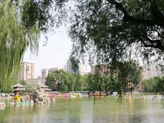 -团结湖公园