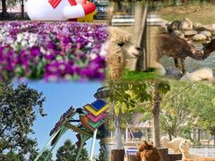-盈香心动乐园