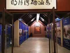 -宜春明月山维景国际温泉度假酒店
