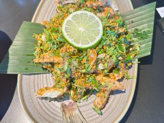 -Ameigo梅果·云贵川bistro(长宁来福士店)