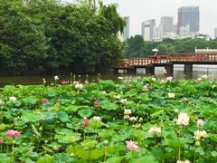 -黄兴公园