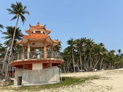 -东郊椰林