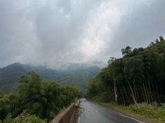 -安吉龙王山风景区
