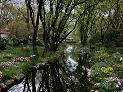 -上海共青森林公园