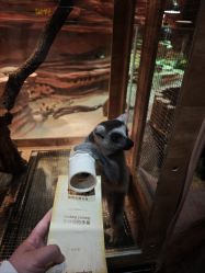 -Zoolung Zoolung动物主题公园(海信广场店)