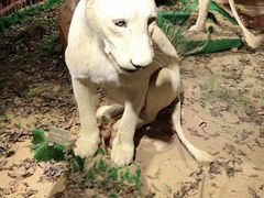 -陕西自然博物馆