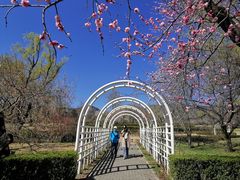 -北京植物园南门售票处