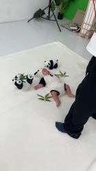 -小阿福儿童摄影(华中智谷店)