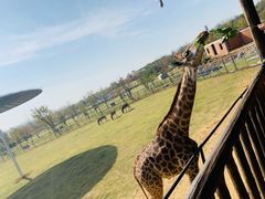 -南京金牛湖风景区