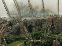 -香港海洋公园