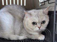 -美联众合动物医院·24h京西诊疗中心