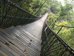 -东部华侨城
