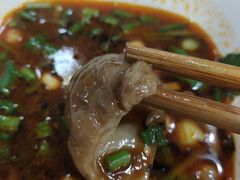 肥肠鱼-烧哥美蛙肥肠鱼火锅·十五年社区店