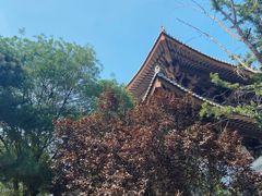 -隆福寺