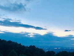 -铁山坪森林公园