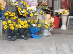 -花冠鲜花(勿忘我花店)