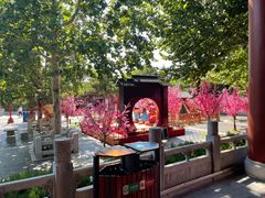 -青岛方特梦幻王国