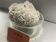 -福州罗源湾海洋世界旅游区