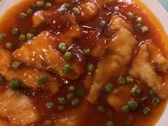 -大顺堂食府(牛街店)