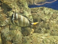 -福州罗源湾海洋世界旅游区