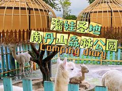 -南丹山森林王国