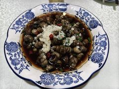 -呼吸森林·生态农庄农家乐私房菜