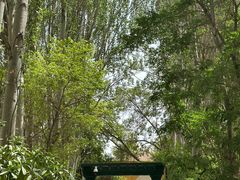 -艾提尕尔清真寺