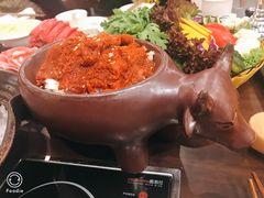 -舌尖记忆重庆火锅(悉尼店)