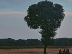 -山明水秀大饭店