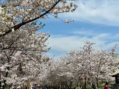 -长田漾湿地公园