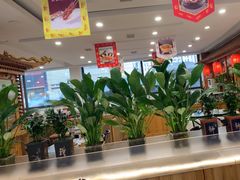 -大清花饺子(山庄店)