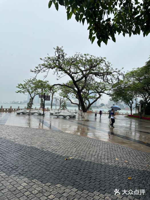 鼓浪屿图片