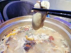 -千岛蚝高压锅生蚝·人参火锅(白云万达店)