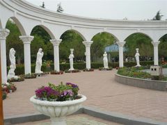 android_upload_pic-洛阳郁金香牡丹园