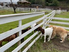-溪口-滕头旅游景区