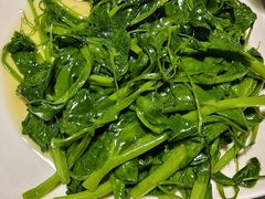 豌豆尖-良泉足疗