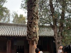 -建水文庙